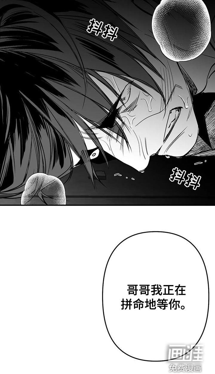 第171章：【第三季】作为朋友