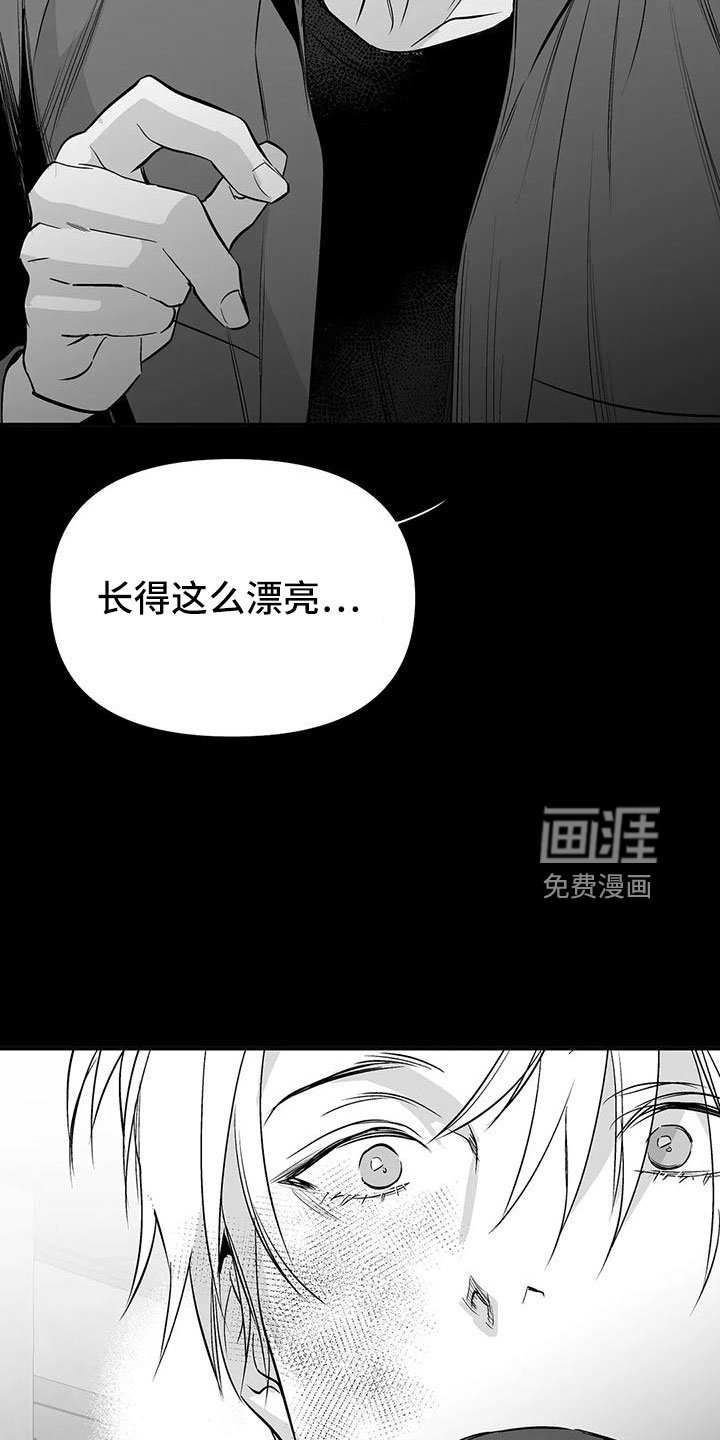 第178章：【第三季】怎么才能喜欢
