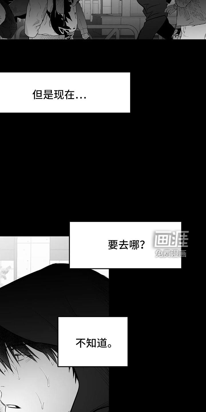 第180章：【第三季】去散步