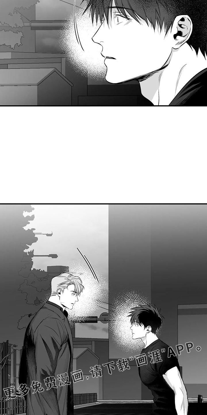 第180章：【第三季】去散步
