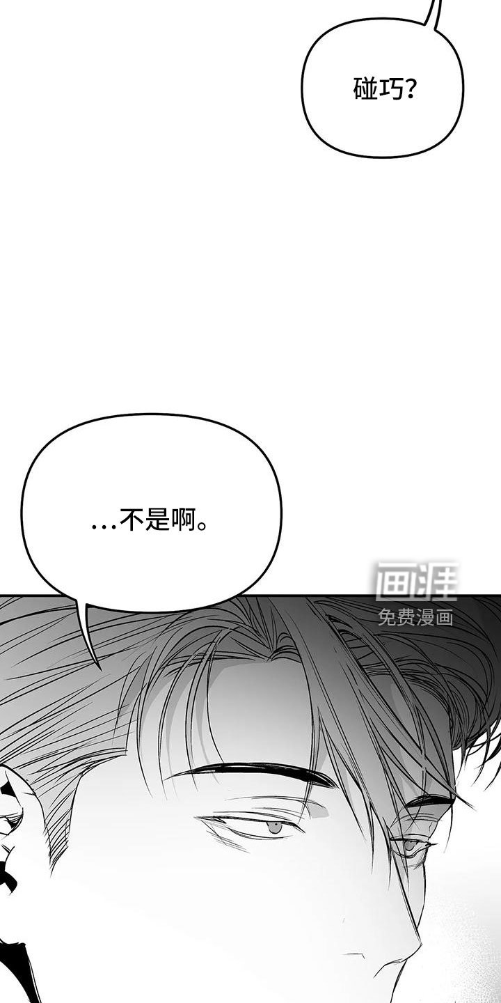 第181章：【第三季】今天不忙