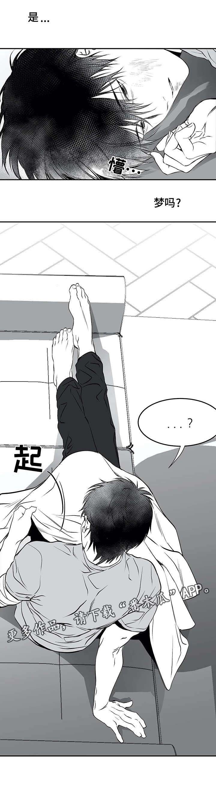 第19章：组织