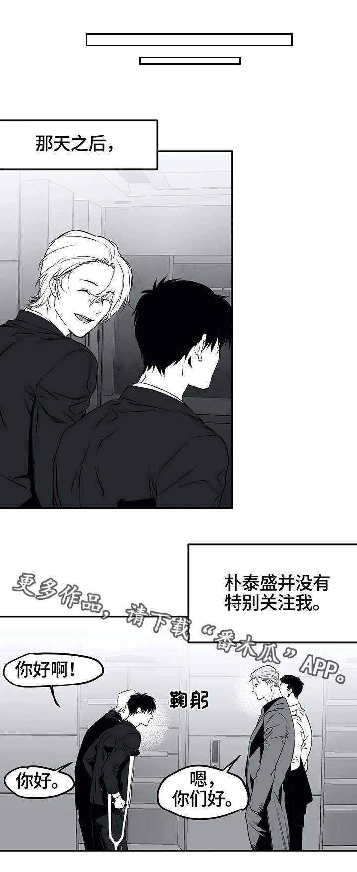 第19章：组织