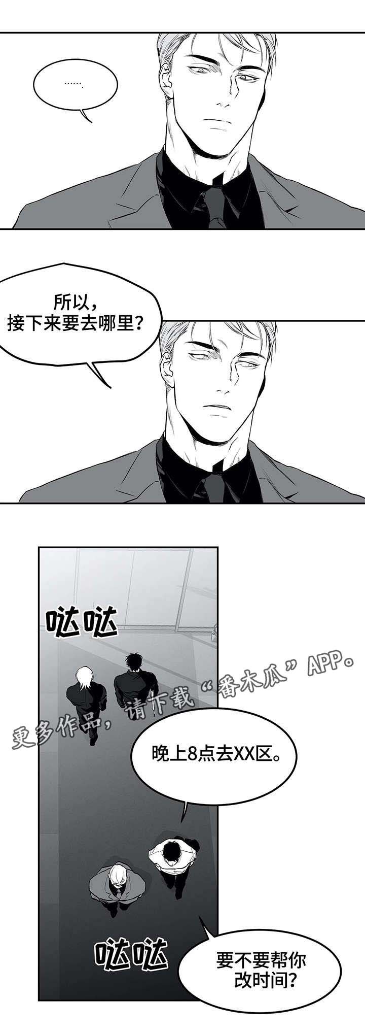 第19章：组织