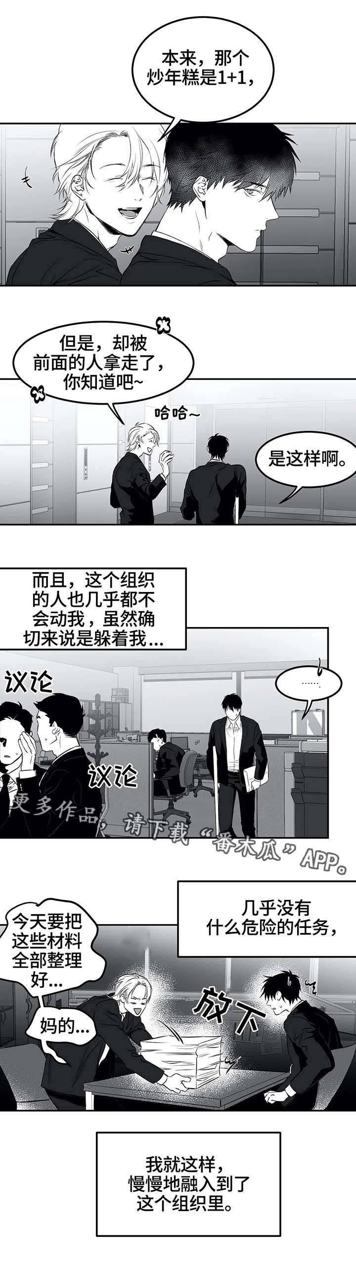 第19章：组织
