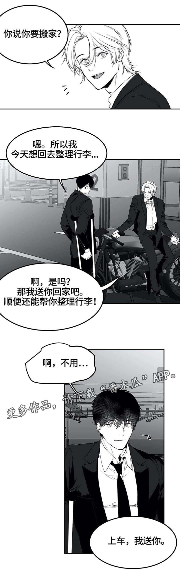 第19章：组织