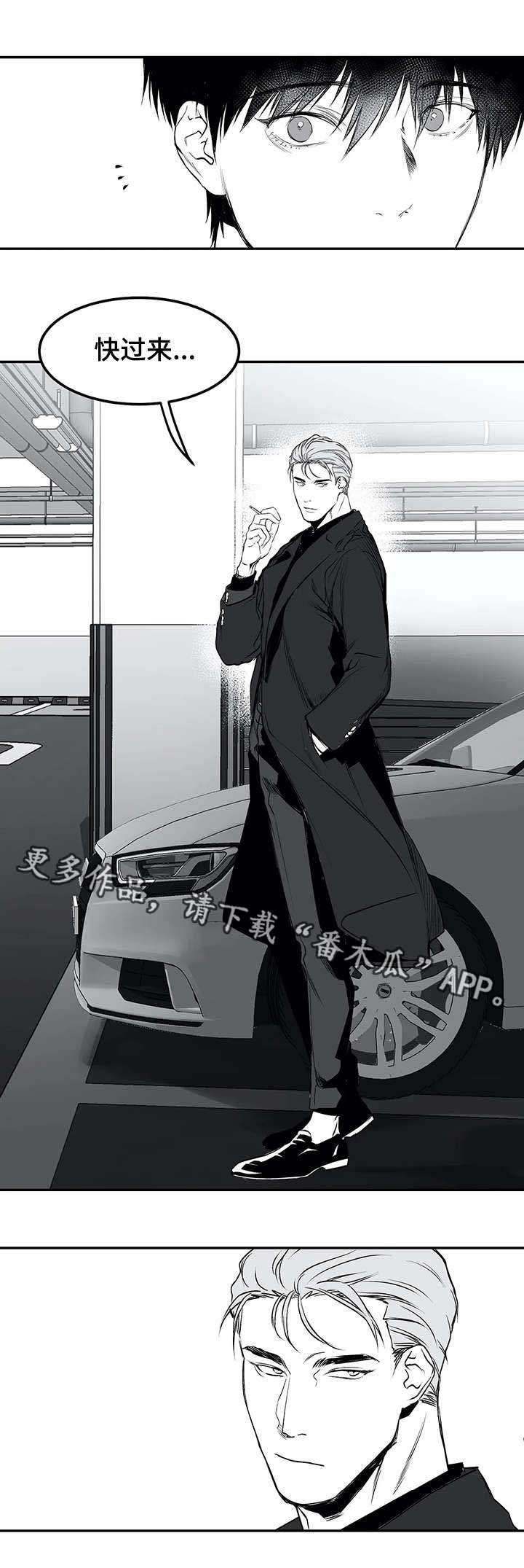 第19章：组织