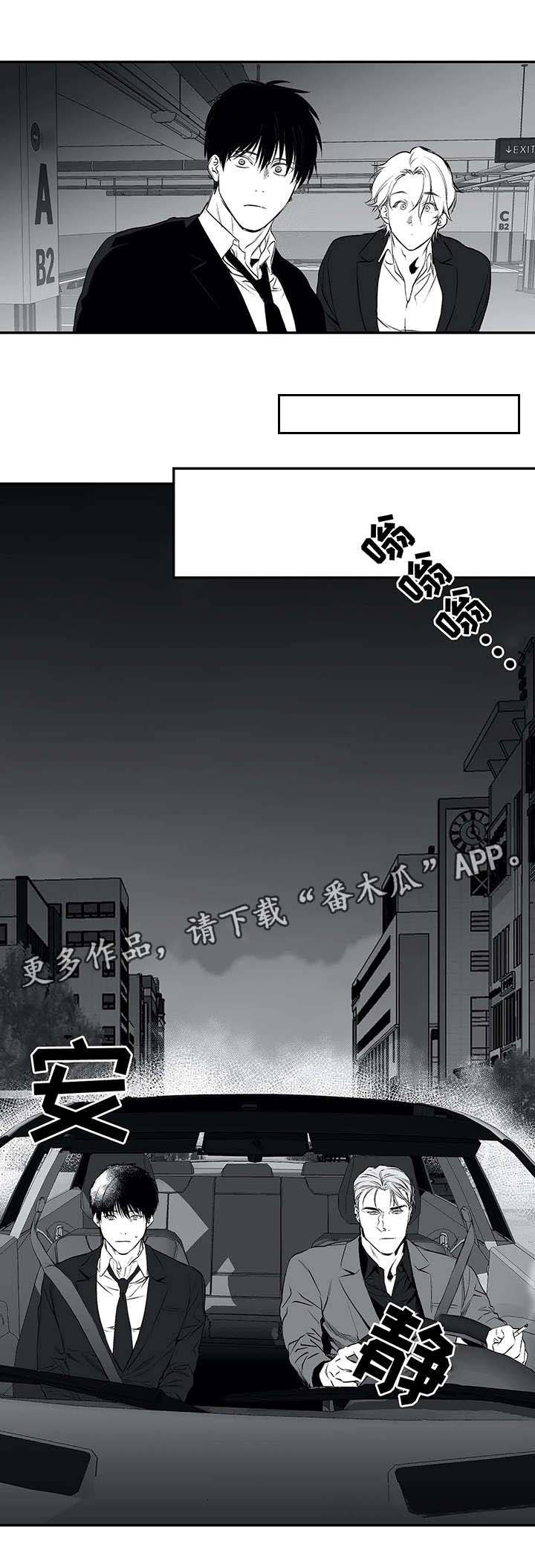 第19章：组织