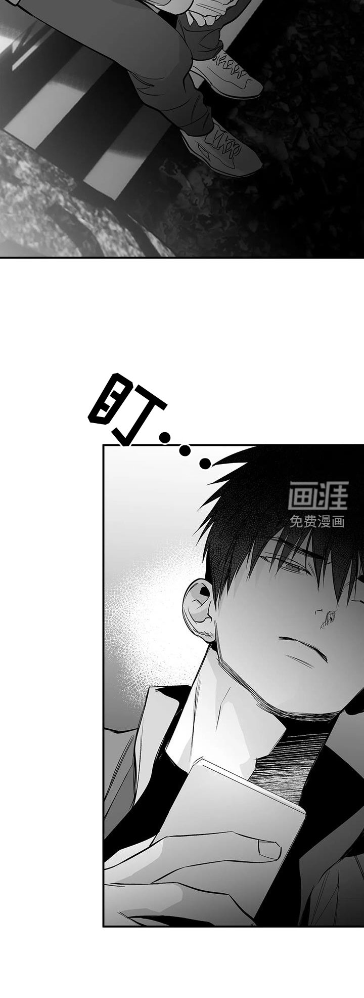 第205章：【第三季】比赛
