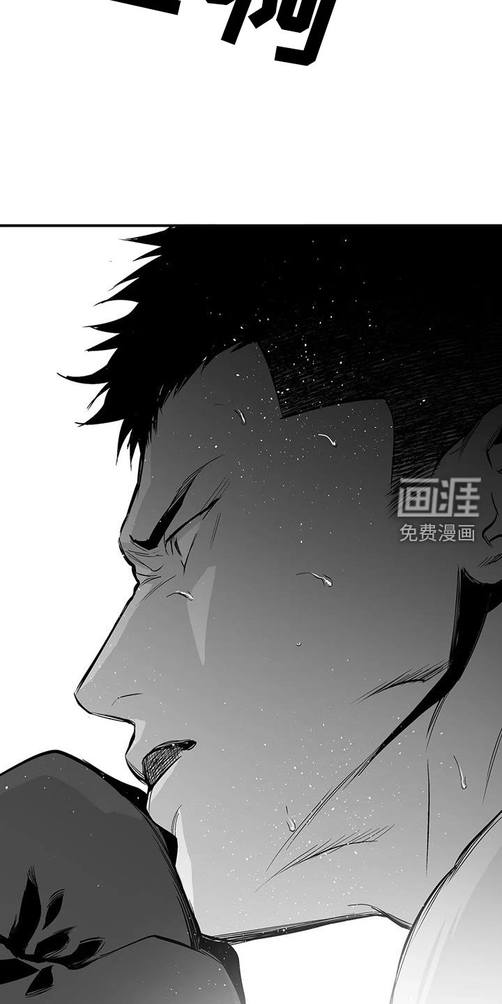 第205章：【第三季】比赛