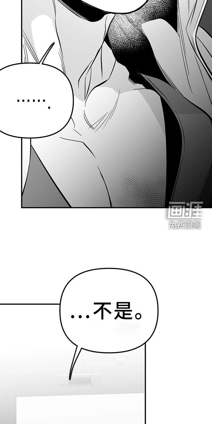 第207章：【第三季】感想
