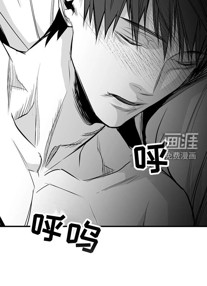 第215章：【第三季】闪耀