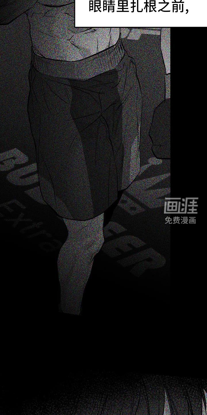 第215章：【第三季】闪耀
