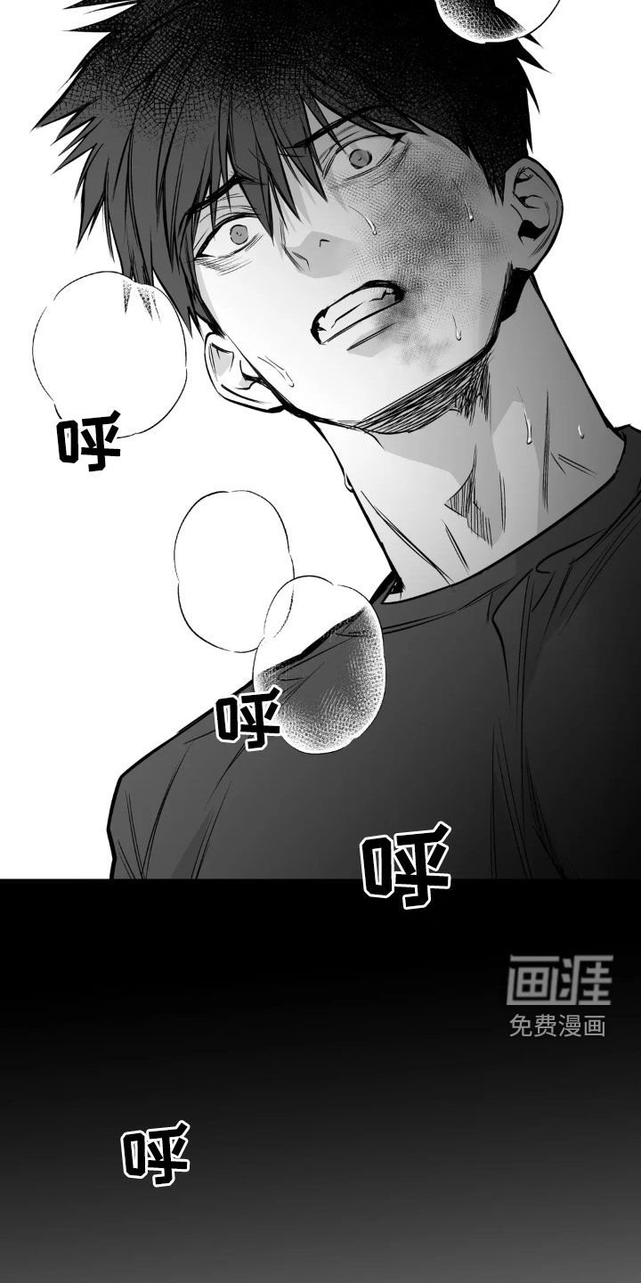 第233章：【第三季】我们聊聊