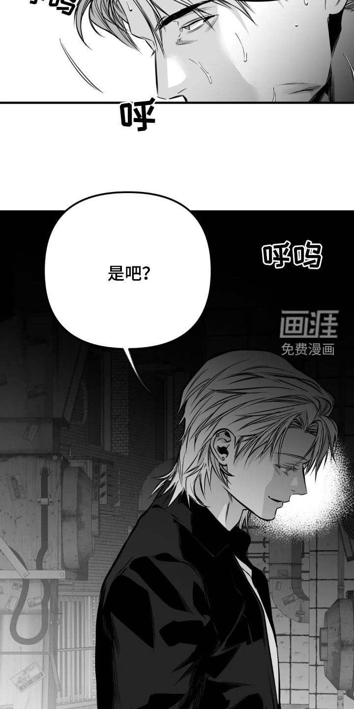 第233章：【第三季】我们聊聊
