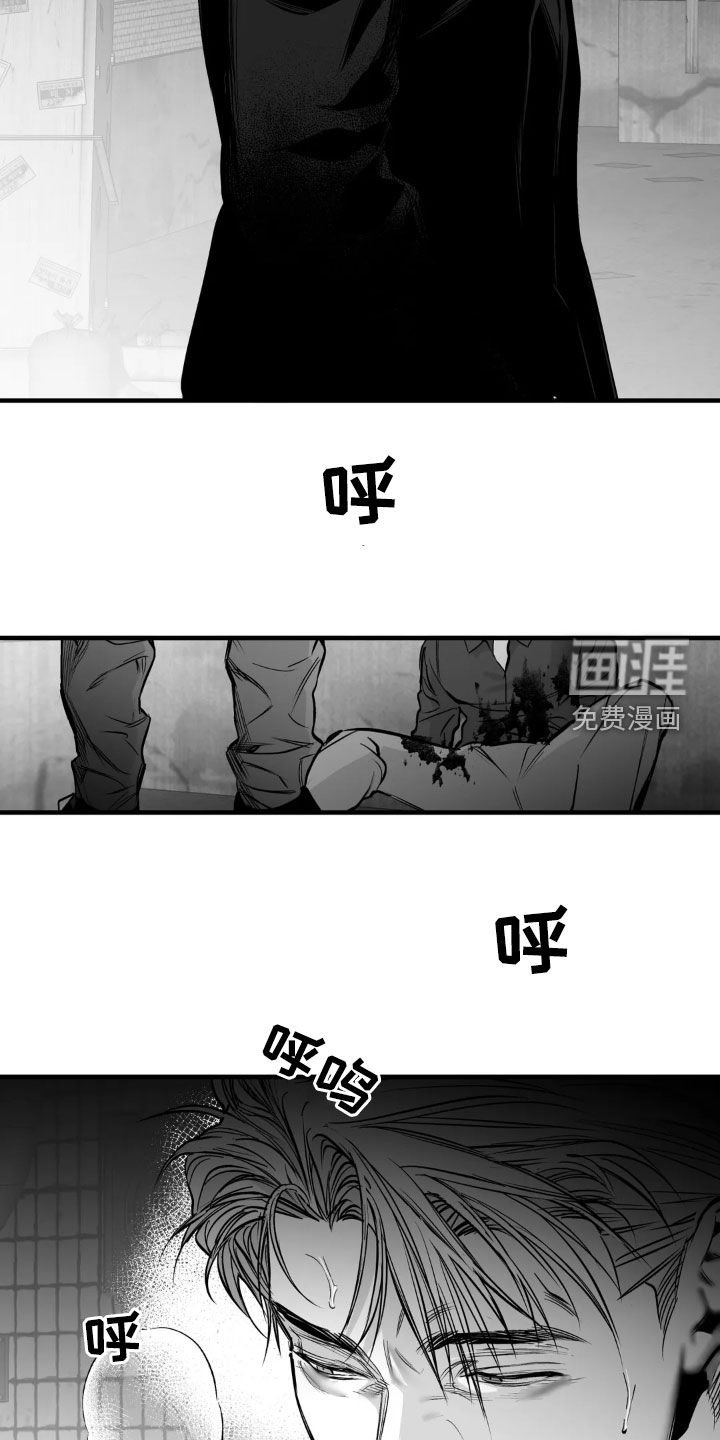第233章：【第三季】我们聊聊