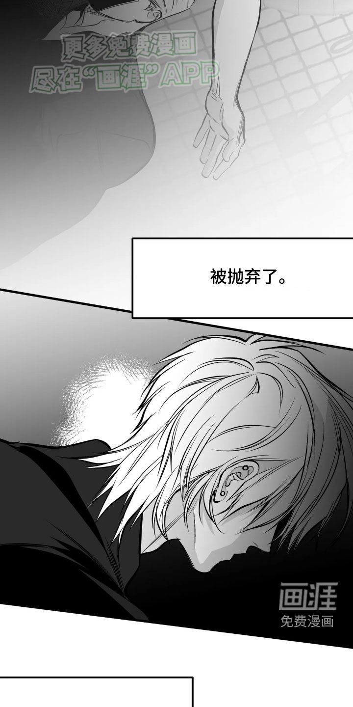 第237章：【第三季】不一样