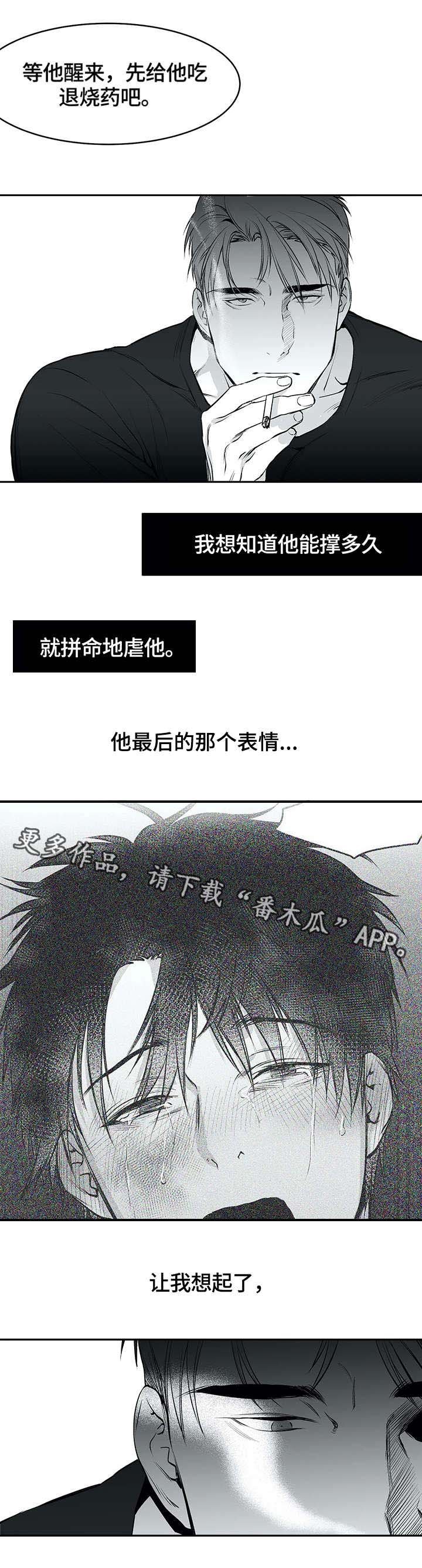 第27章：毒蛇