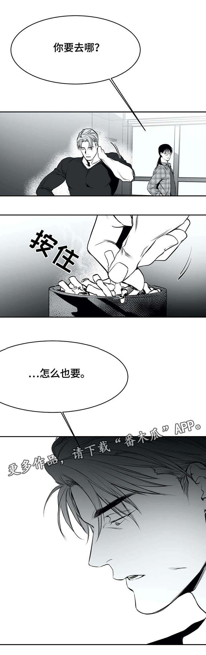 第27章：毒蛇