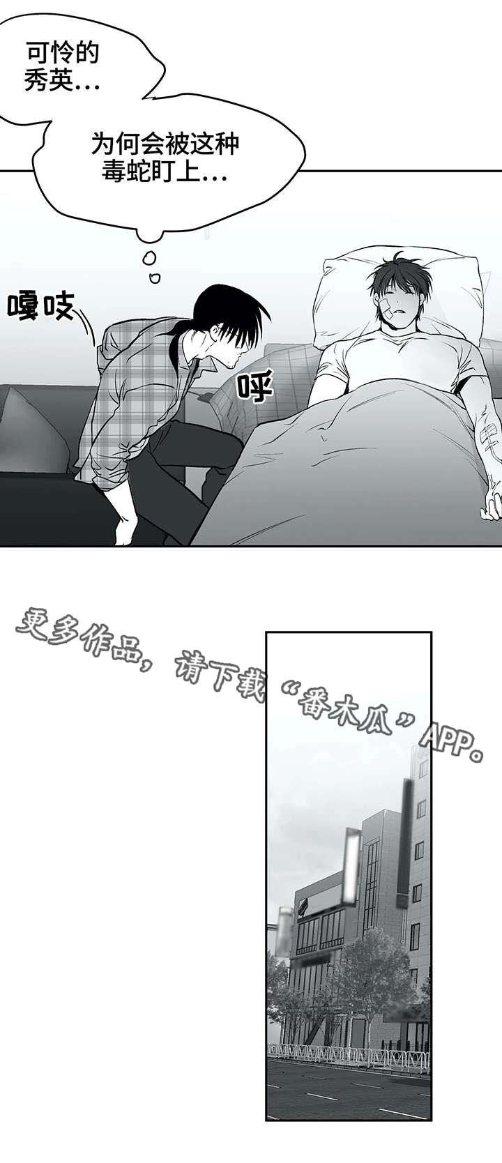 第27章：毒蛇