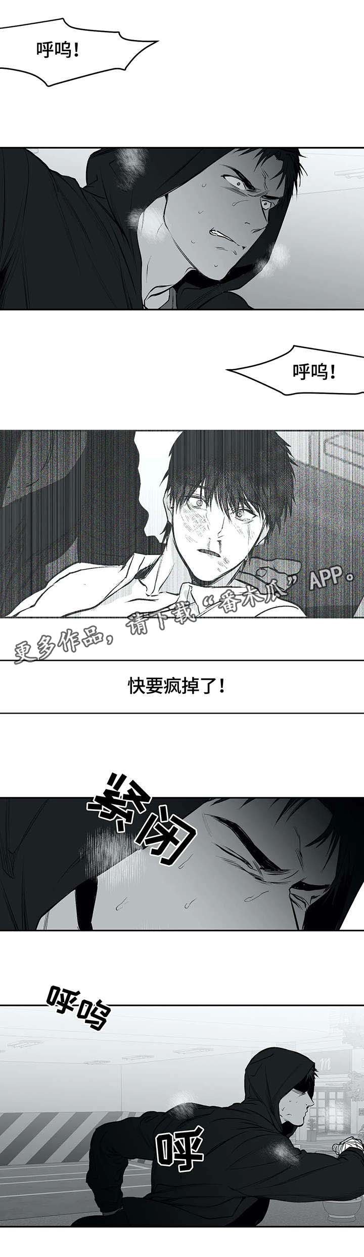 第28章：发泄