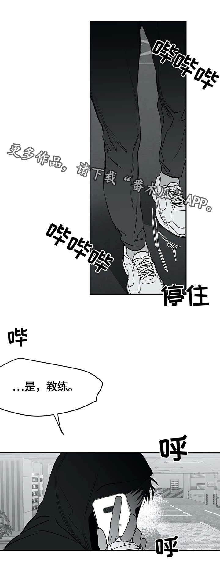 第28章：发泄