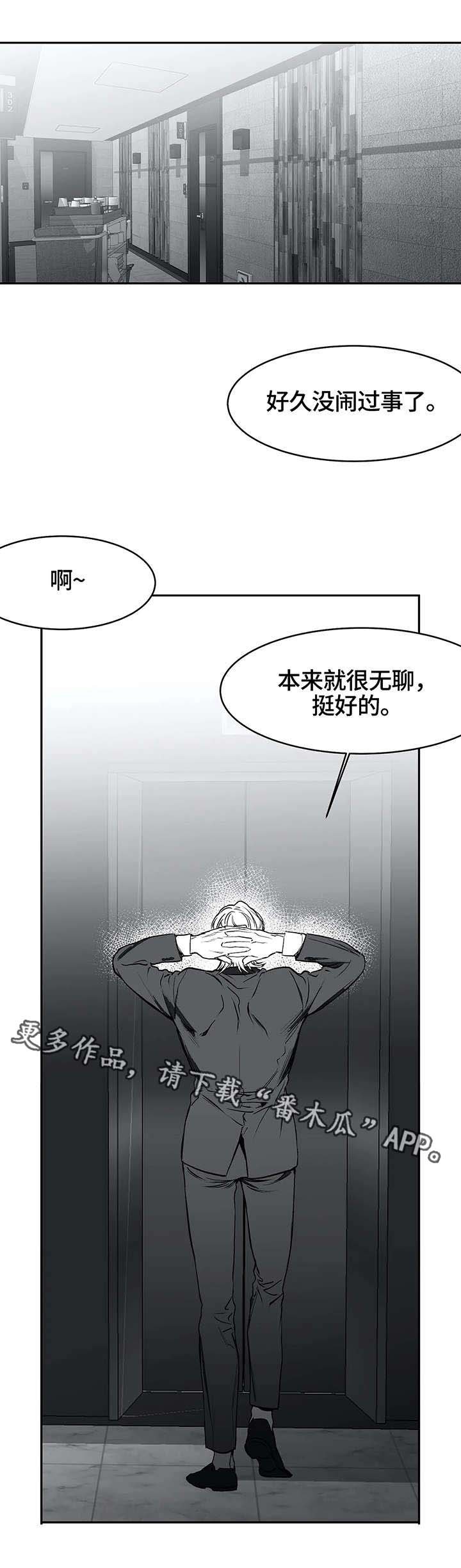 第29章：行动