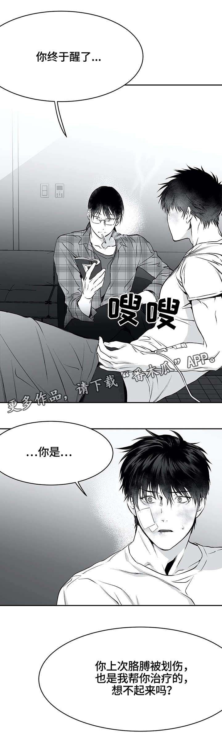 第29章：行动