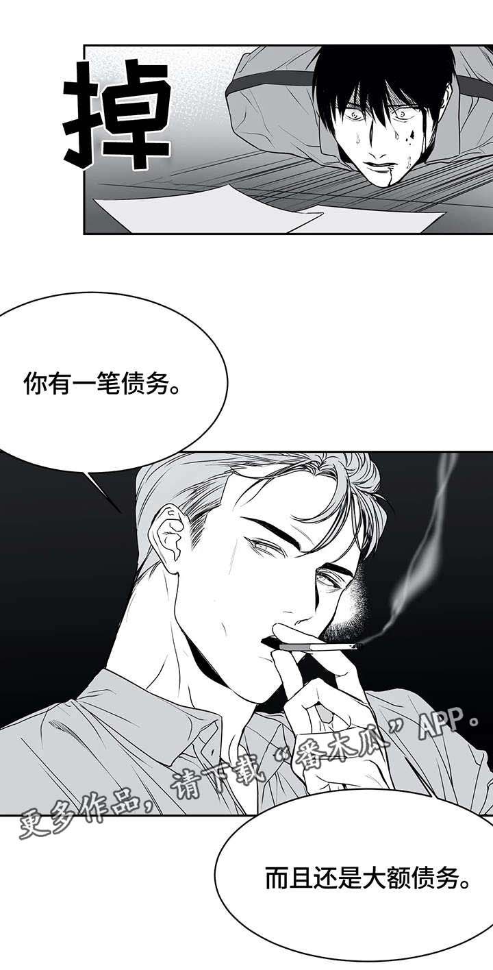 第5章：债务
