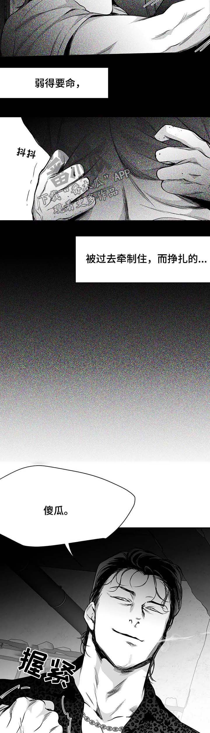 第67章：动向奇怪