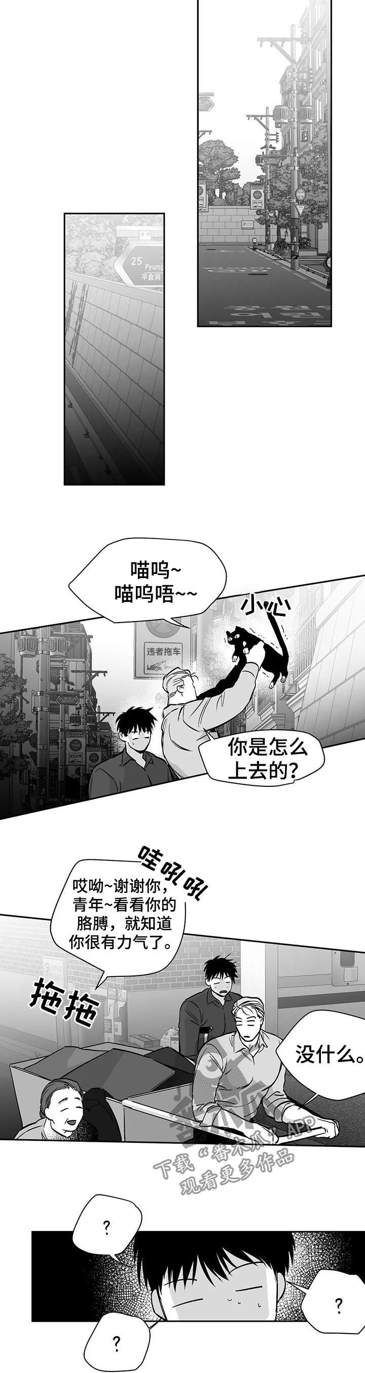 第70章：更重要的东西