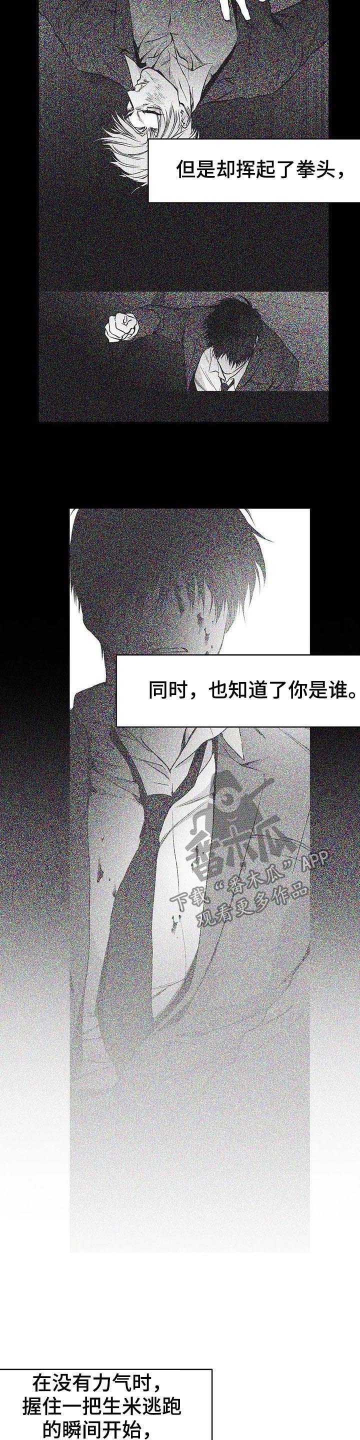 第74章：到底怎么回事