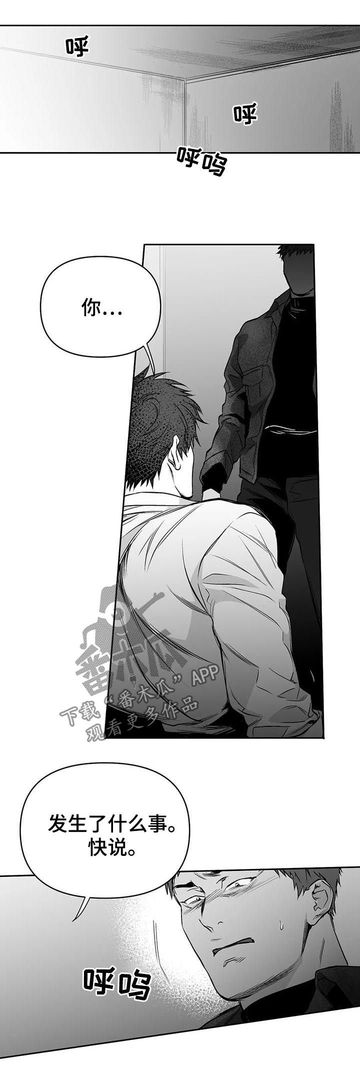 第74章：到底怎么回事