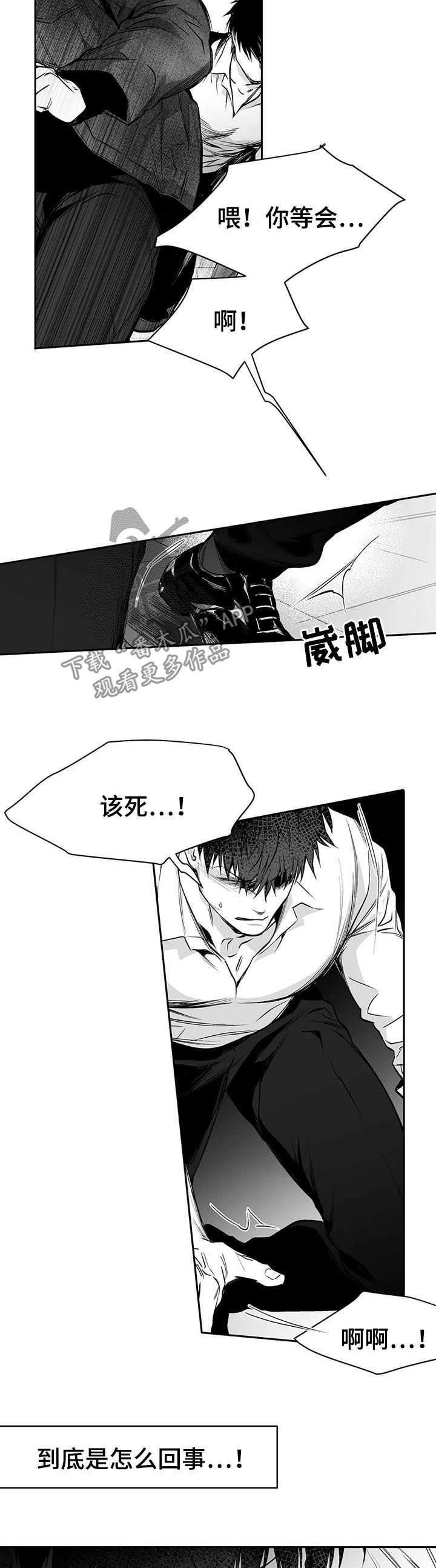 第74章：到底怎么回事