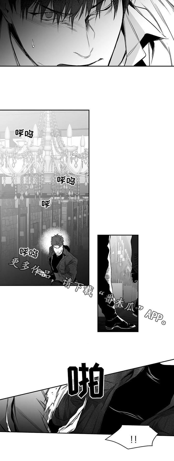 第74章：到底怎么回事