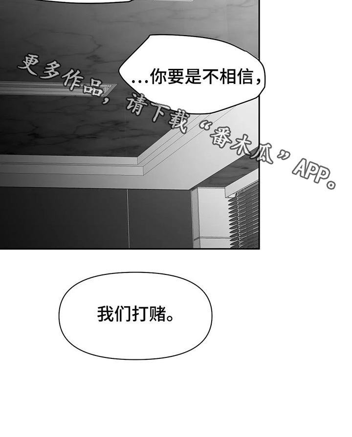 第96章：【第二季】调查