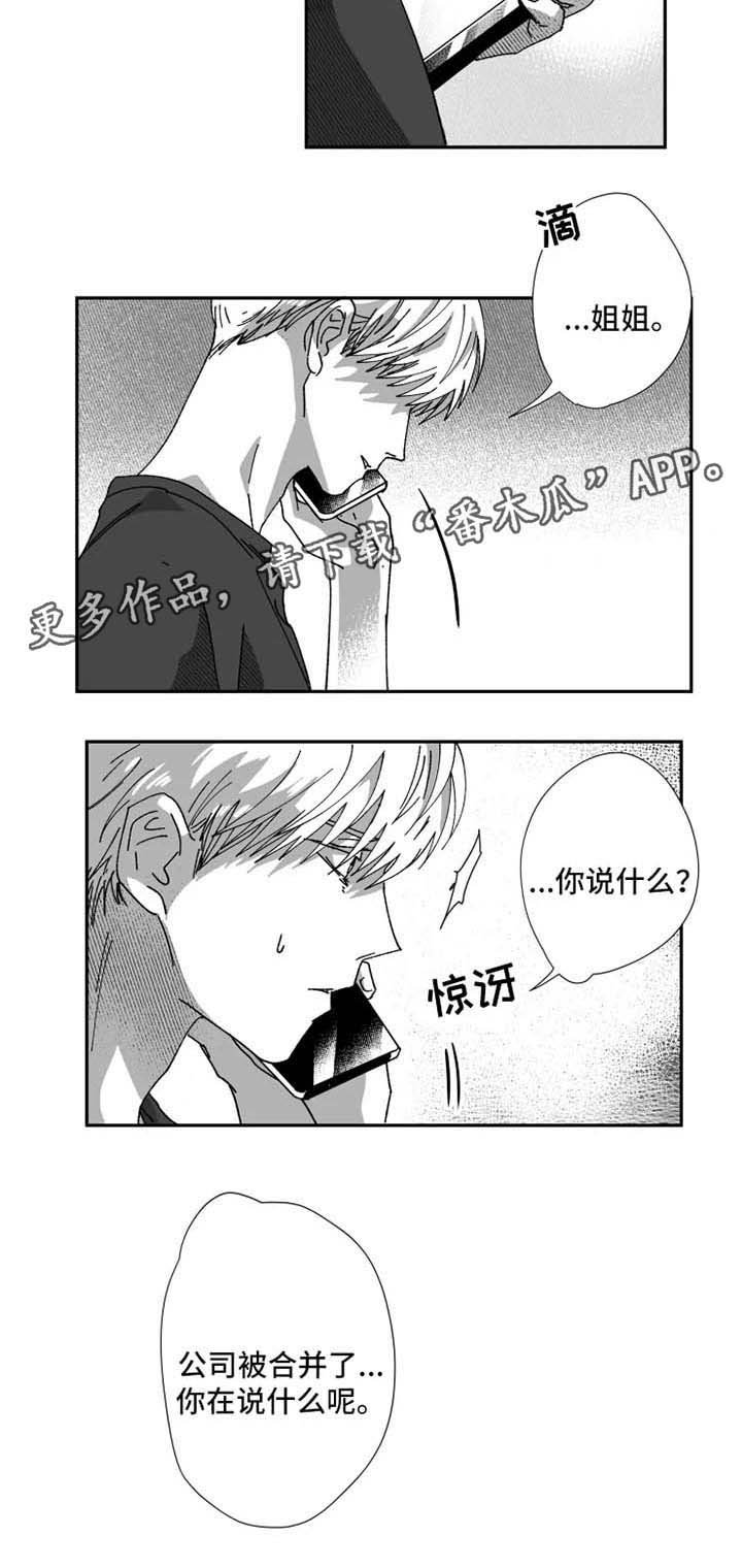 第28章：公司合并