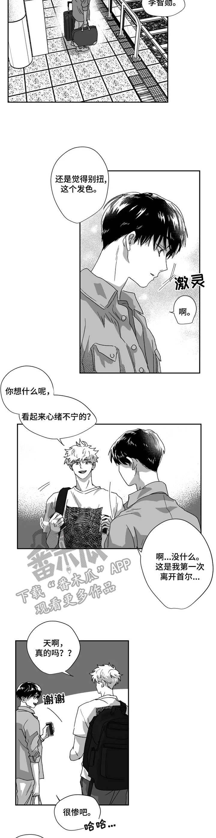 第41章：朋友