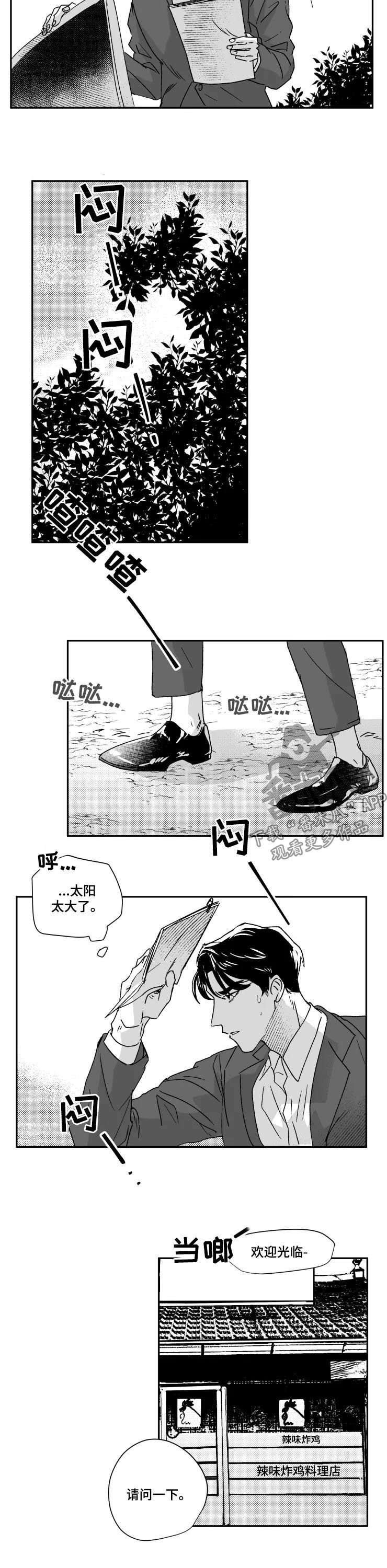第44章：收获