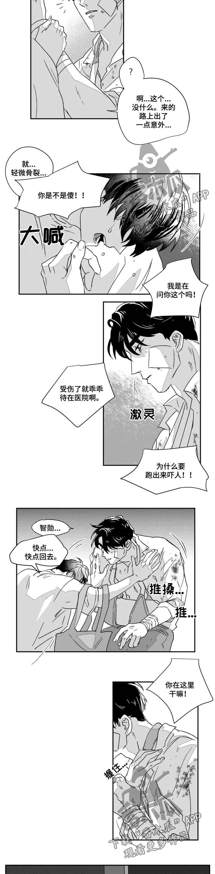 第49章：骨折
