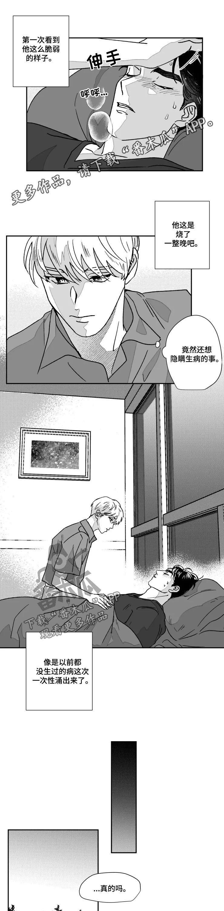 第56章：在一起了