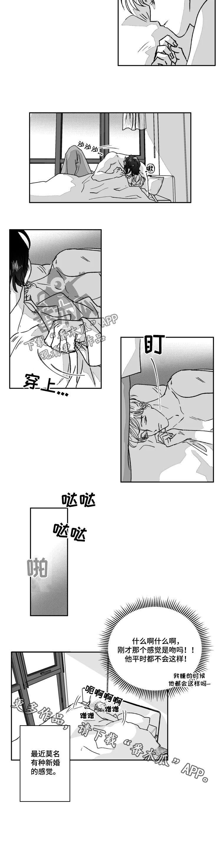 第61章：新婚的感觉
