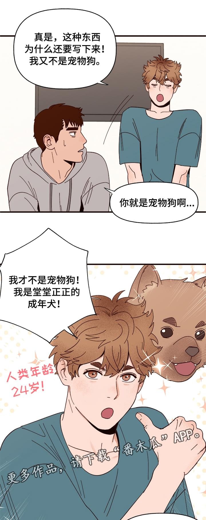 第11章：测试一下