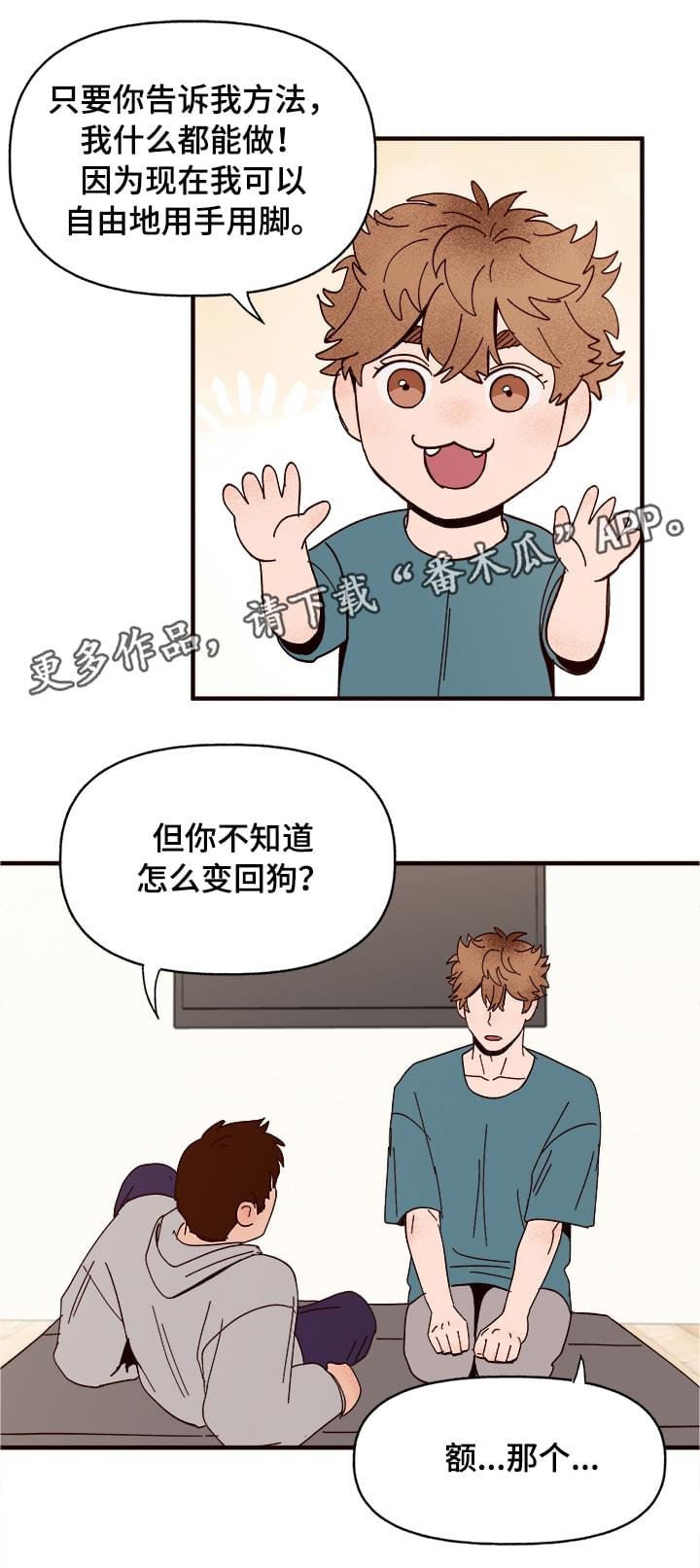 第11章：测试一下
