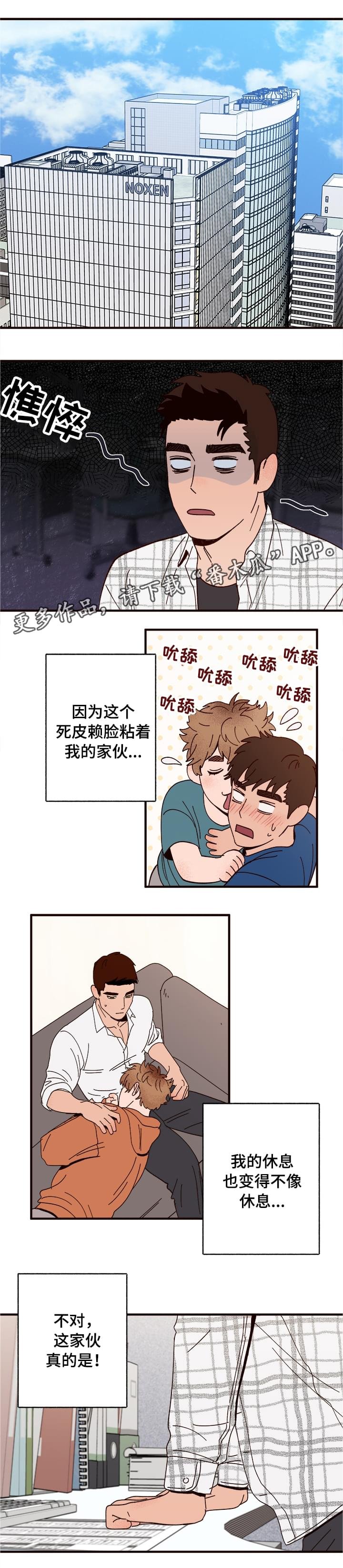 第12章：还人情