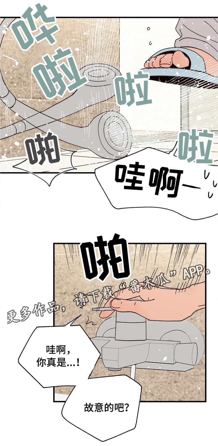 第14章：洗澡