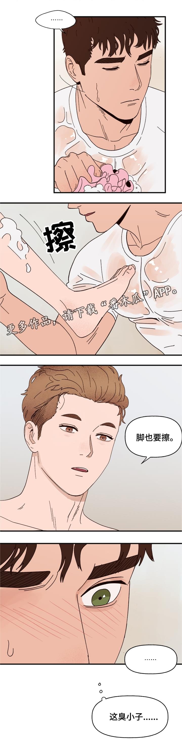 第15章：命令