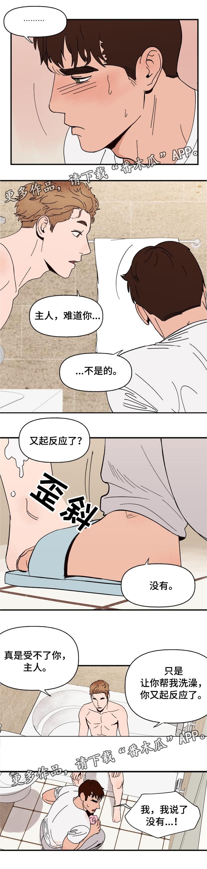 第15章：命令