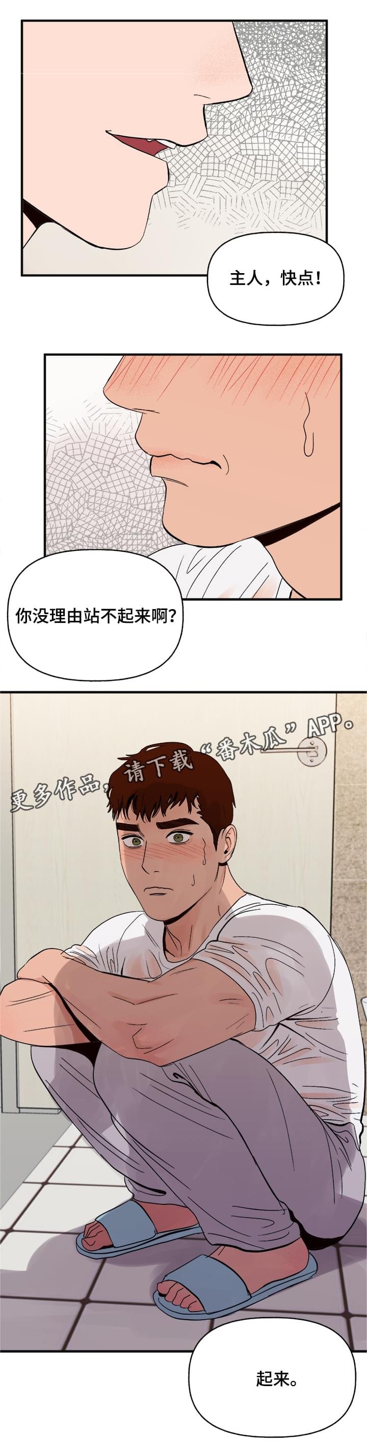 第15章：命令