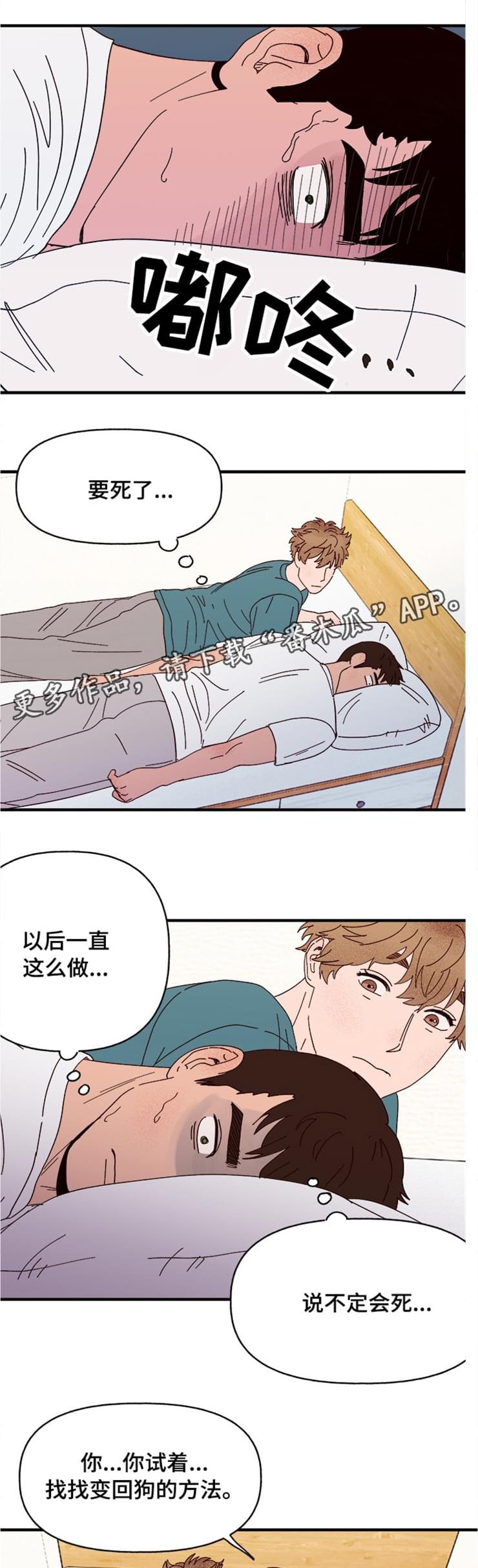 第16章：可爱的坏人